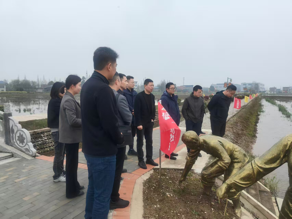图片18
